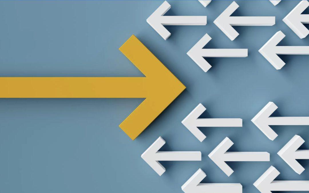 Why Fractional Marketing Directors are the future